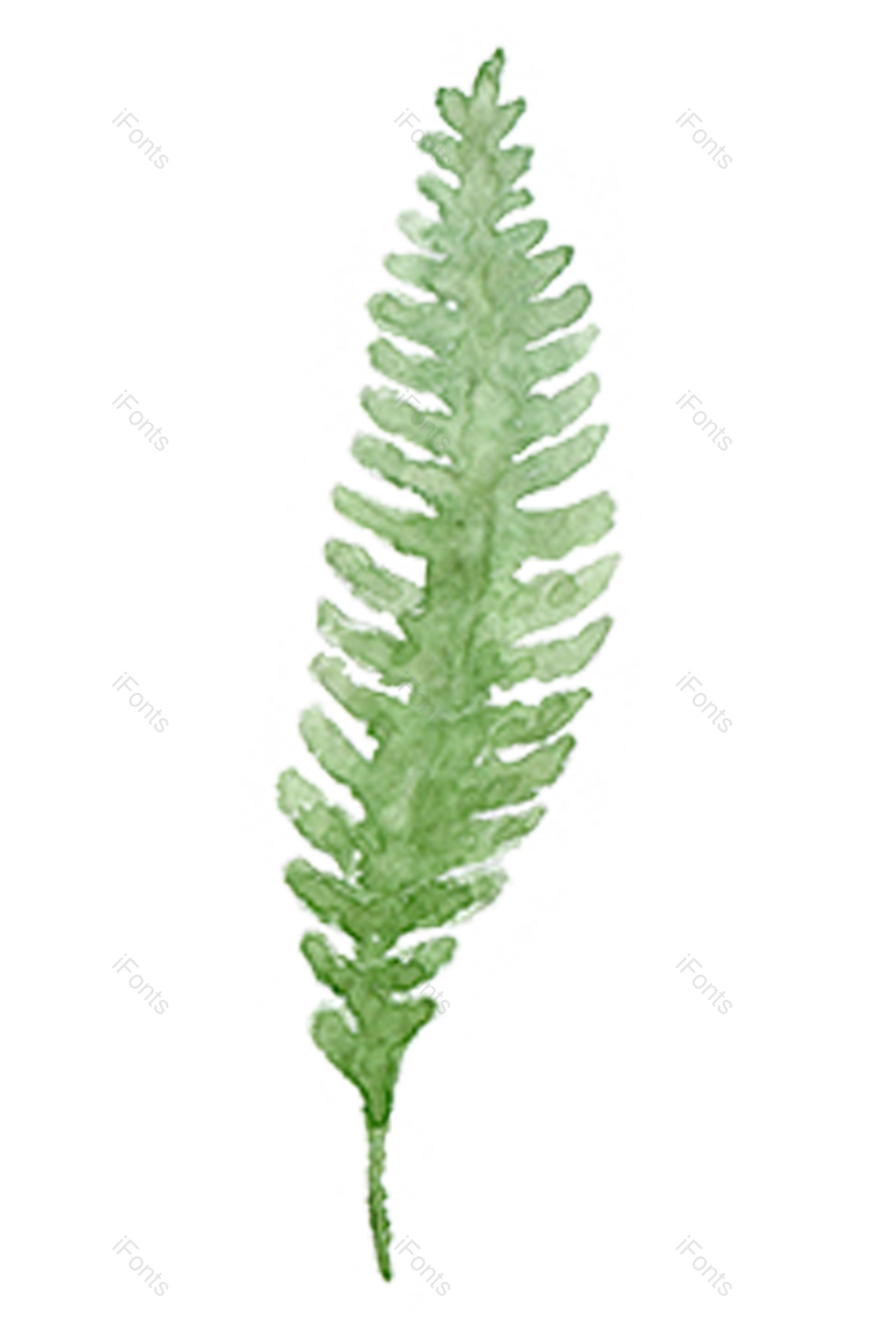 水彩质感图片,绿叶元素,花草PNG,树叶免抠素材